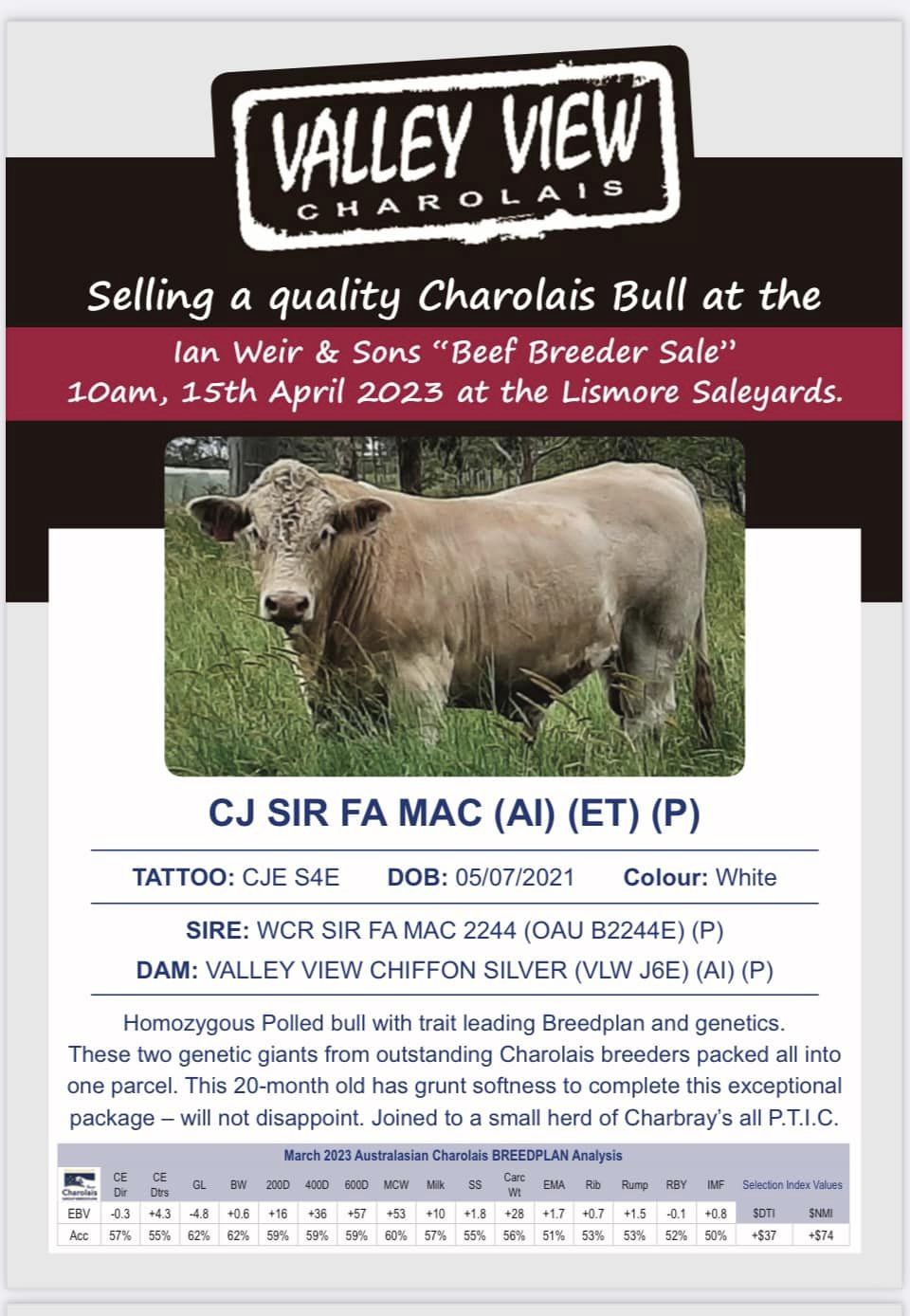 Beef Breeder Sale 15th April Ian Weir And Son