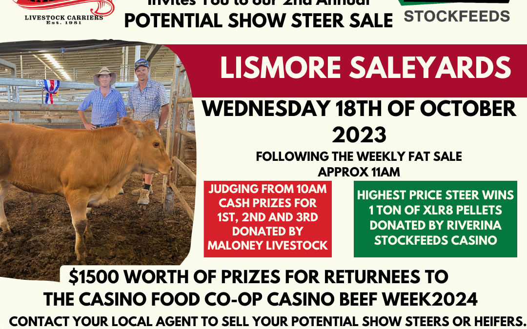 Casino Beef Week