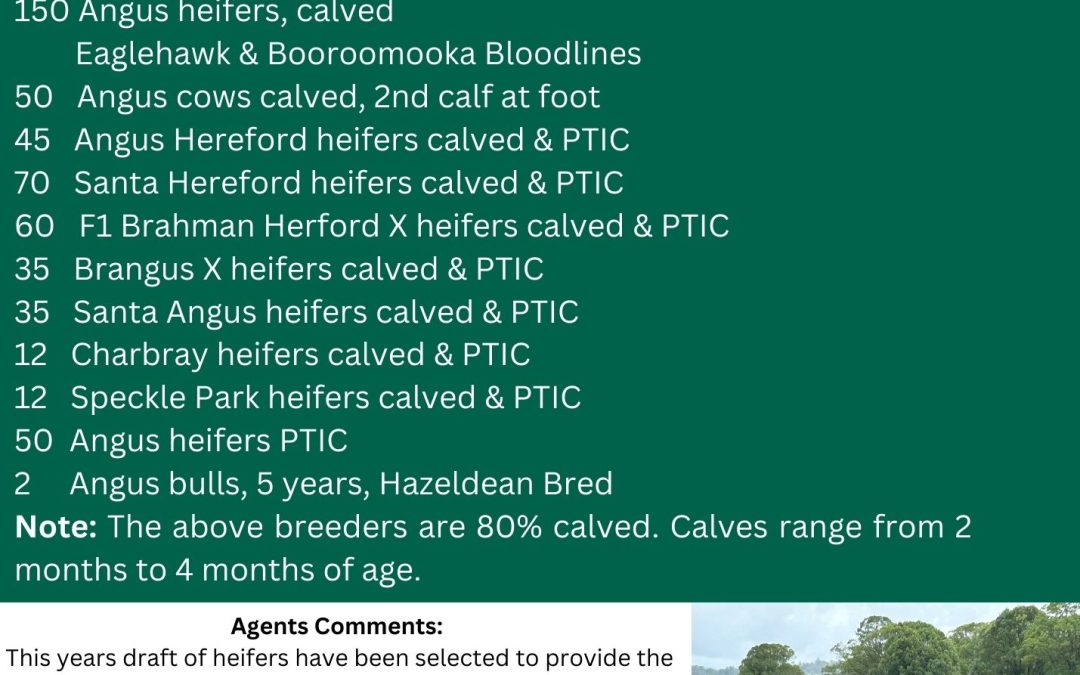 Hannigan Family Breeder Sale